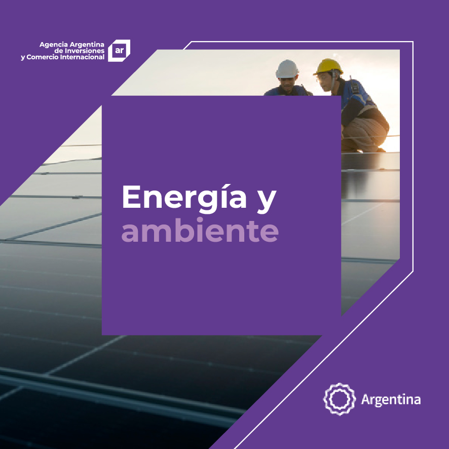 http://www.invest.org.ar/images/publicaciones/Oferta exportable argentina: Energía y ambiente